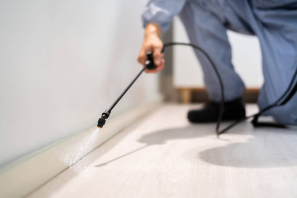 Professional exterminator conducting IPM assessment in Canastota